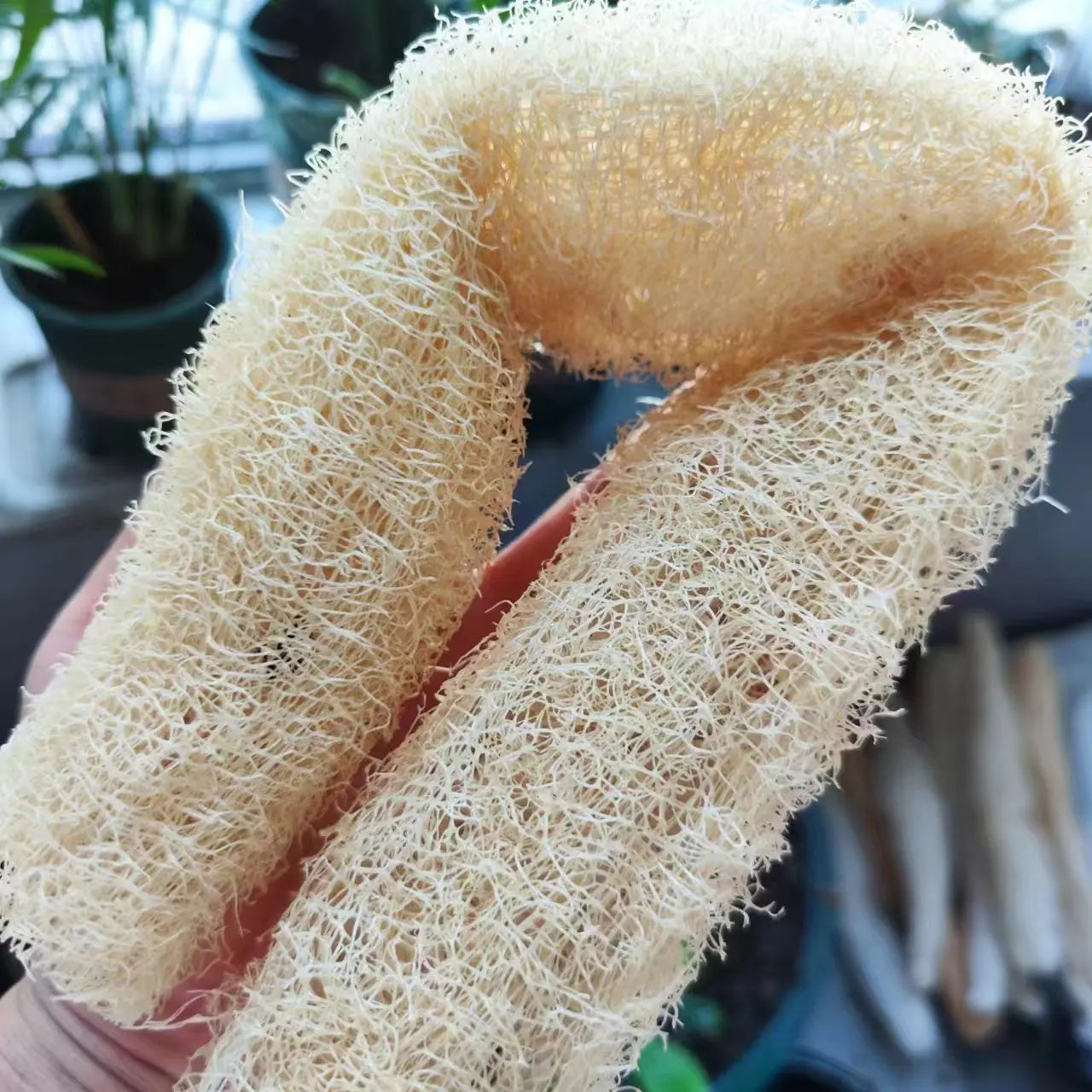 Natural Loofah Body Scrubber – Eco-Friendly Bath & Shower Sponge