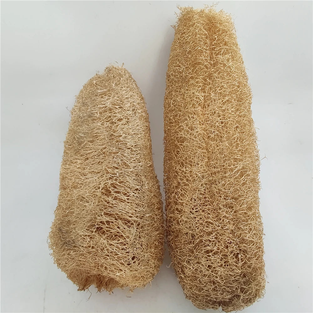 Natural Loofah Body Scrubber – Eco-Friendly Bath & Shower Sponge