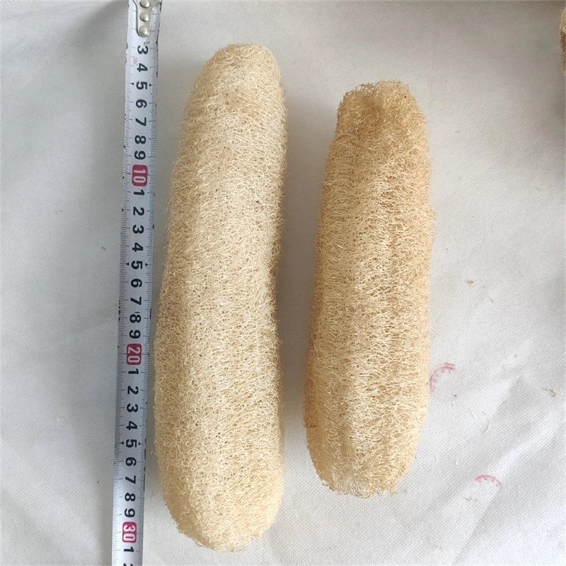 Natural Loofah Body Scrubber – Eco-Friendly Bath & Shower Sponge
