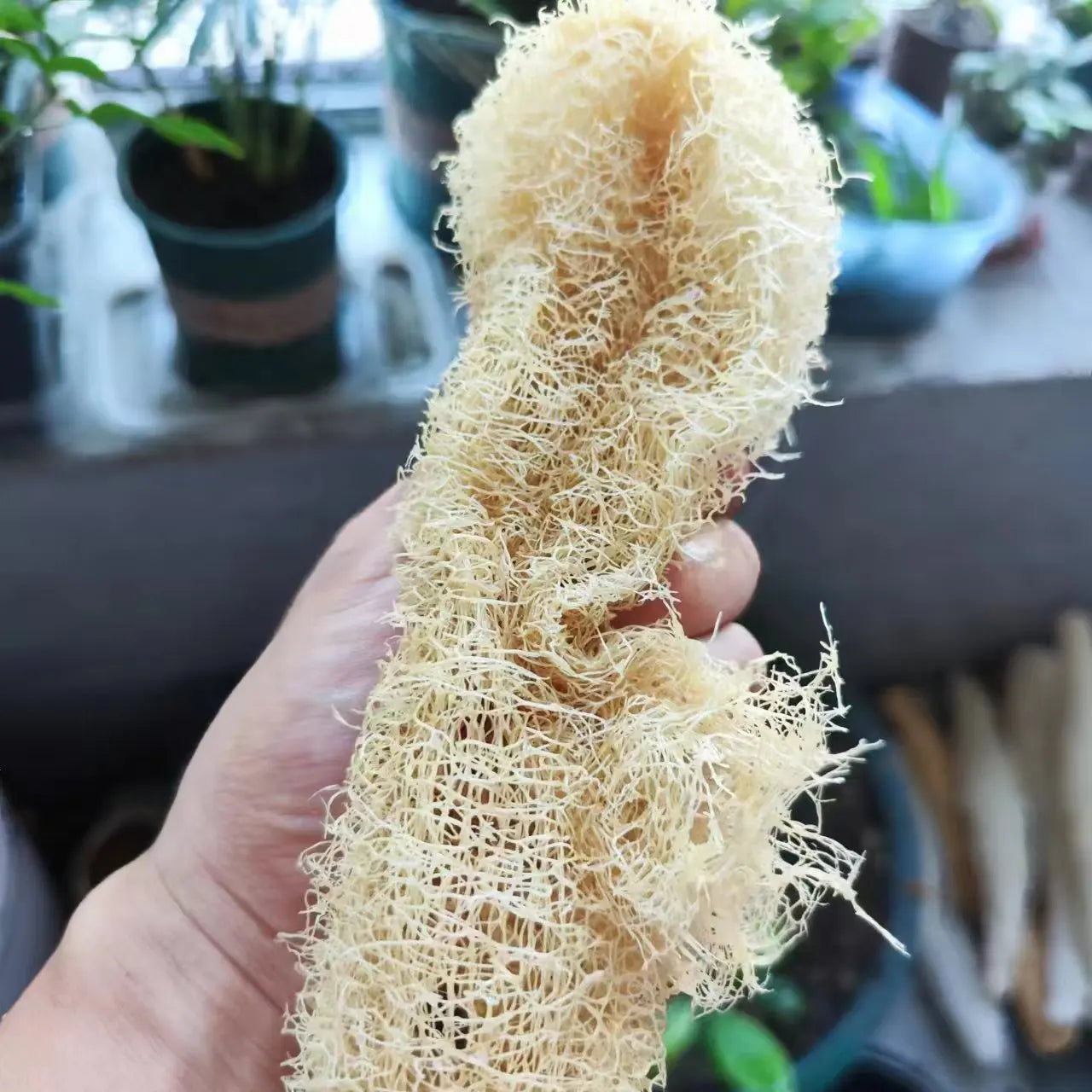Natural Loofah Body Scrubber – Eco-Friendly Bath & Shower Sponge