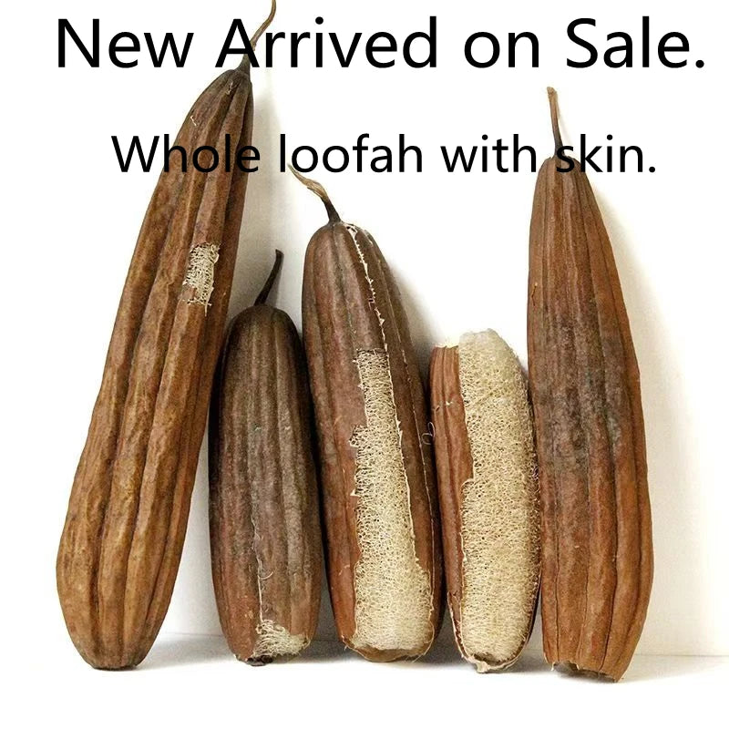 Natural Loofah Body Scrubber – Eco-Friendly Bath & Shower Sponge