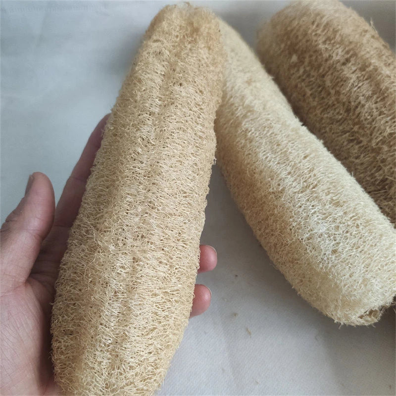 Natural Loofah Body Scrubber – Eco-Friendly Bath & Shower Sponge