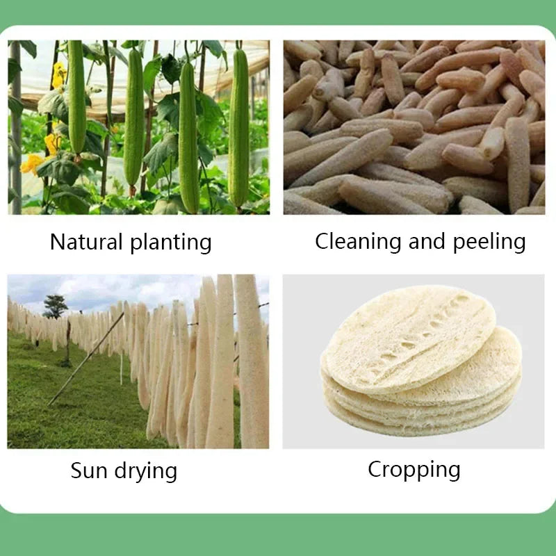 Natural Loofah Sponge – Eco-Friendly Dish Washing & Cleaning Pad (3–10pcs)