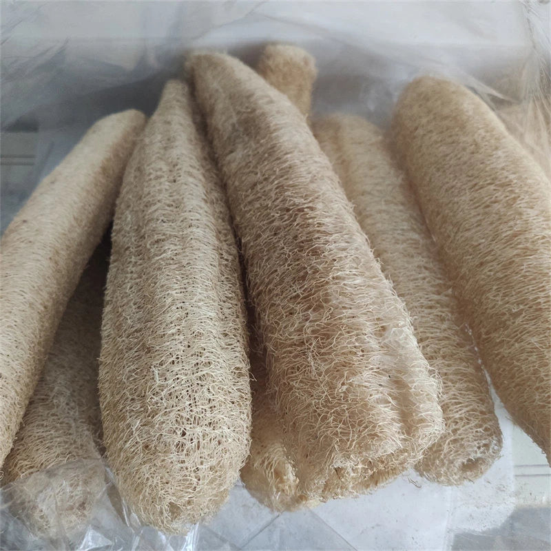 Natural Loofah Body Scrubber – Eco-Friendly Bath & Shower Sponge