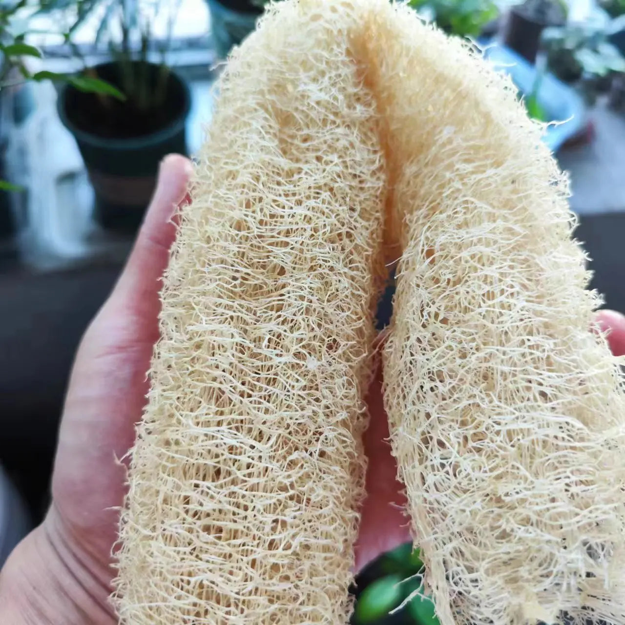 Natural Loofah Body Scrubber – Eco-Friendly Bath & Shower Sponge