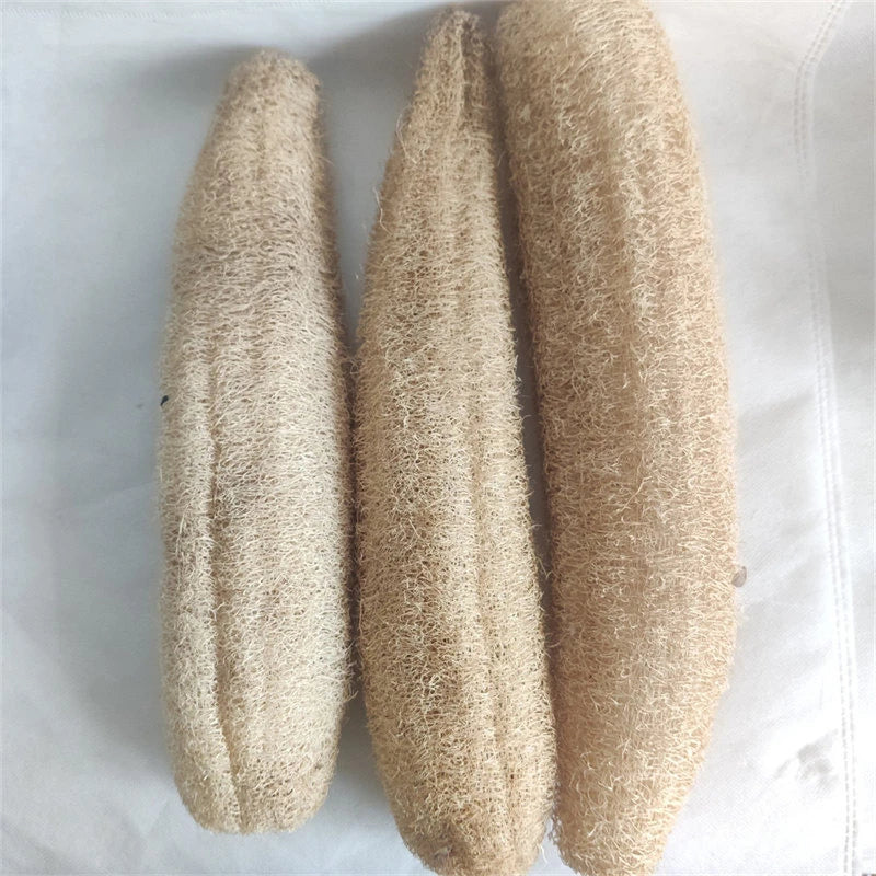 Natural Loofah Body Scrubber – Eco-Friendly Bath & Shower Sponge