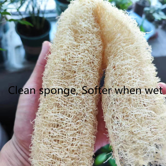 Natural Loofah Body Scrubber – Eco-Friendly Bath & Shower Sponge
